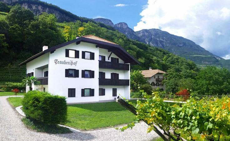 Traubenhof Appartement Magre all' Adige Buitenkant foto